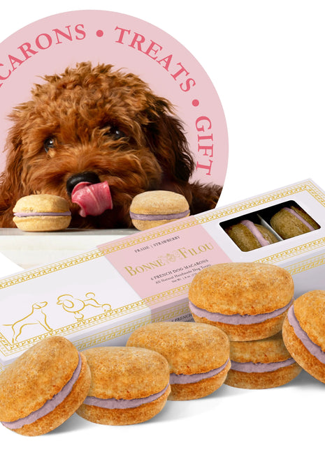 Dog Macarons (Box of 6)