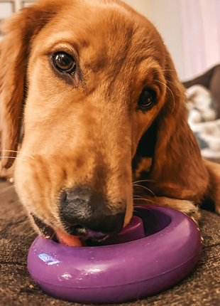 Freez Doughnut - Super Durable Treat Toy