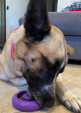 Freez Doughnut - Super Durable Treat Toy