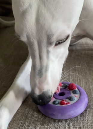 Freez Doughnut - Super Durable Treat Toy