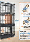 3 Pack