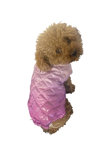 Coco Puffer, Ombre'd Orchid