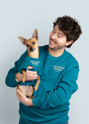 Terry Pullover
