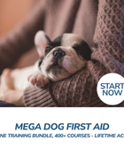 Mega Dog First Aid Online Training Bundle, 400+ Courses - Lifetime Access