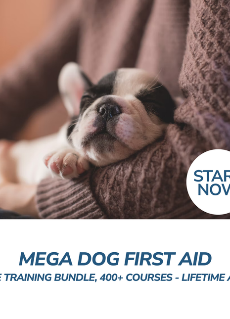 Mega Dog First Aid Online Training Bundle, 400+ Courses - Lifetime Access
