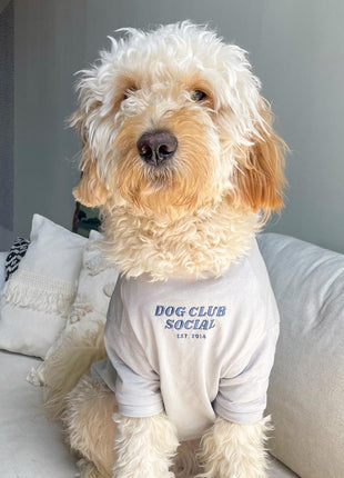 Embroidered Tee (Dog)