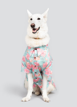 Washed Out BBQ Shirt - Pup List