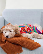 Groovin' Retro Pajama - Pup List