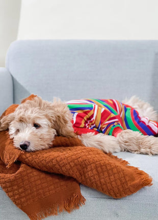 Groovin' Retro Pajama - Pup List