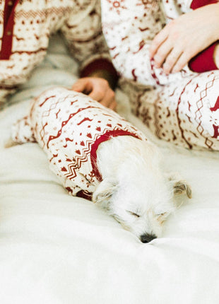 Festive Fam Holiday Pajama (Kid Sizes Only)