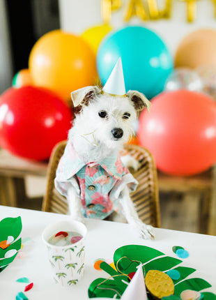 Washed Out BBQ Shirt - Pup List