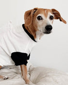 Classique Baseball Tee (Only Dog Sizes Left) - Pup List