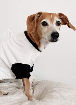 Classique Baseball Tee (Only Dog Sizes Left) - Pup List