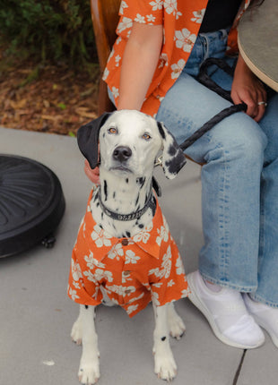 Clay Hibiscus BBQ Shirt