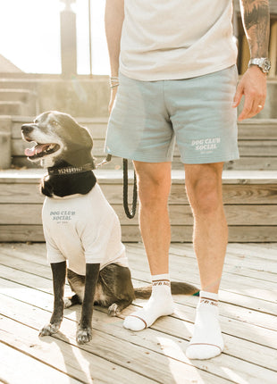 Embroidered Tee (Dog)