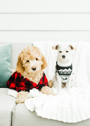 Cabin Sweater (Dog & Kid Sizes Left)