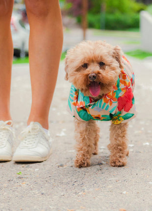 Island Time BBQ Shirt - Pup List