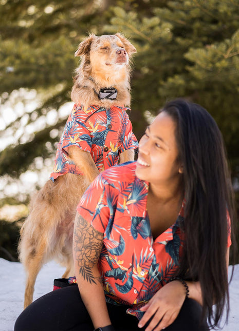 Jungle Bird BBQ Shirt