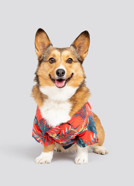 Jungle Bird BBQ Shirt