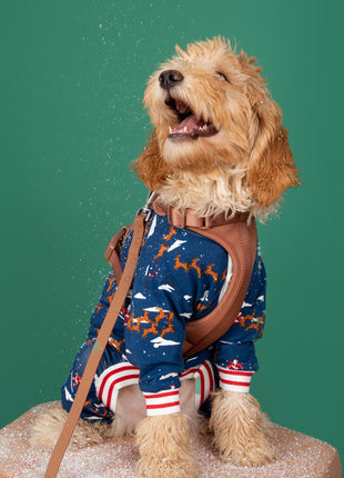 Santa Sleighs Pajama (Dog & Kid Sizes Only)