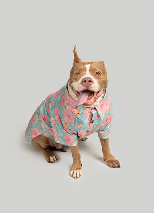 Washed Out BBQ Shirt - Pup List