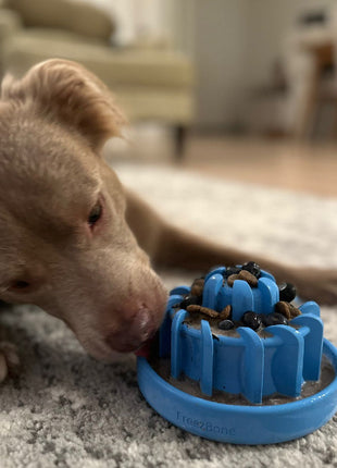FreezLava Heavy-Duty Enrichment Chew