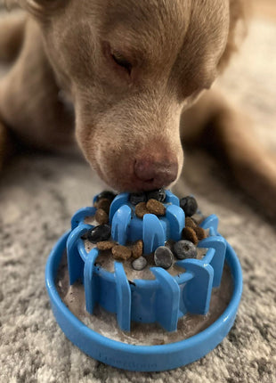 FreezLava Heavy-Duty Enrichment Chew