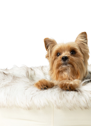PupPouf™ Faux Fur Donut Dog Bed - White with Brown Accents