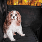 PupProtector™ Car Door Guard (2 pack)