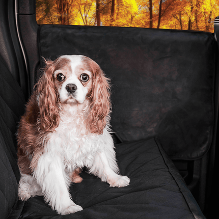 PupProtector™ Car Door Guard (2 pack)