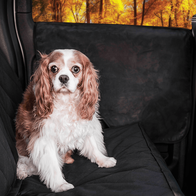 PupProtector™ Car Door Guard (2 pack)
