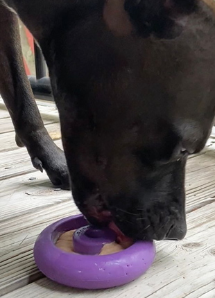 Freez Doughnut - Super Durable Treat Toy