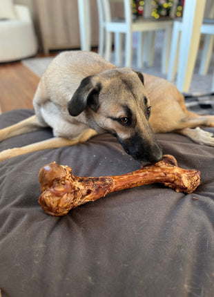 Monster Femur Bone