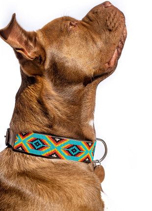Bahamas Sambboho dog collar (with center D-ring)