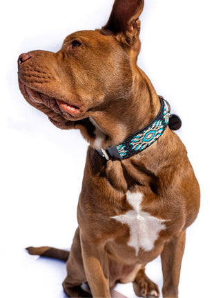 Bora Bora Sambboho dog collar (with center D-ring)