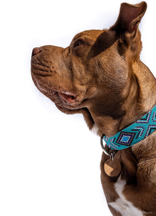 Saint Tropez Sambboho dog collar (with center D-ring)