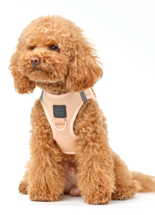 SoHo Dog Harness - Dune - Pup List