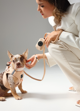 City Dog Leash - Dune