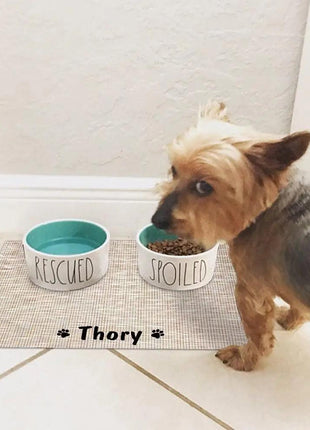 Durable Waterproof Pet Feeding Mat Water Cushion Non- Slip Personalized Pet Mat For Dog Cat Bowl Drinking Feeding Mat