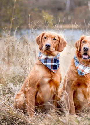 "Mint Wildflower" Dog Bandana