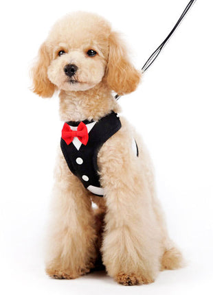 EasyGO Bowtie - Pup List