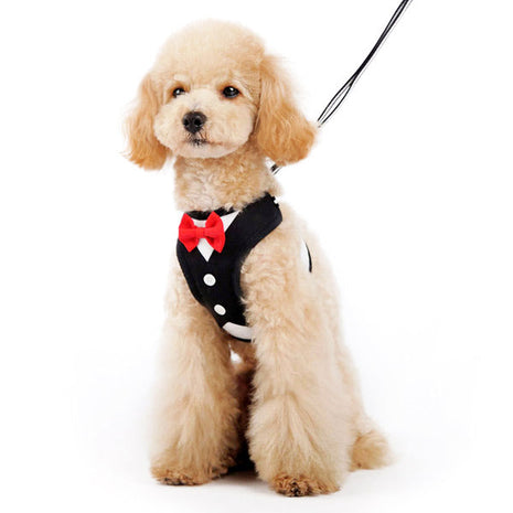 EasyGO Bowtie - Pup List