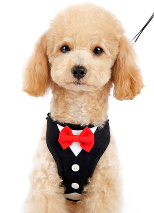 EasyGO Bowtie - Pup List