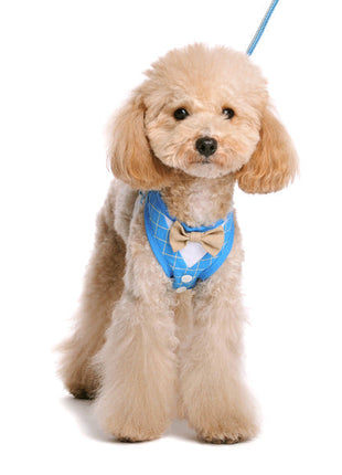 EasyGO Bowtie - Pup List