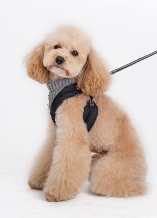 EasyGO Puffer - Pup List