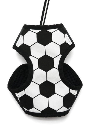 EasyGO Soccer