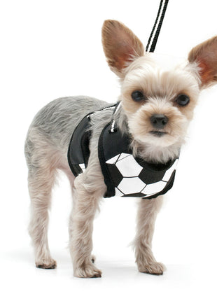 EasyGO Soccer