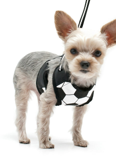 EasyGO Soccer