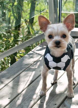 EasyGO Soccer