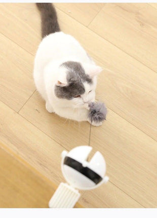 Smart Cat Teaser Ball Interactive Exercise Toys